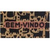 CAPACHO ENTRADA COCO 60X33 